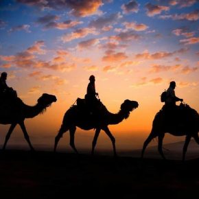 Kamelkarawane zieht durch die goldenen Sanddünen der Sahara bei Sonnenuntergang