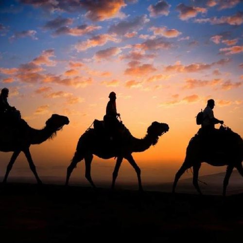 Kamelkarawane zieht durch die goldenen Sanddünen der Sahara bei Sonnenuntergang