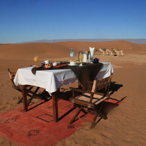 Frühstückstisch mit Getränken und Speisen auf einem Teppich inmitten der Sanddünen der Sahara, mit Kamelen im Hintergrund unter klarem Himmel
