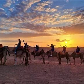 Camel Ride In Agafay