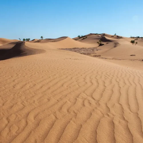 Weitläufige Sanddünen mit feinen Windmustern in der Sahara bei klarem Himmel