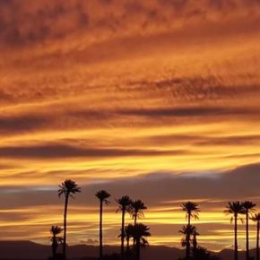 Palmenlandschaft vor einem dramatischen Himmel mit orangefarbenem Sonnenuntergang in der Wüste