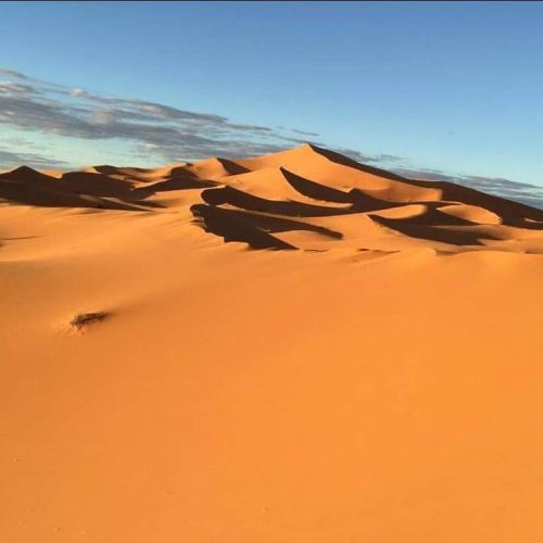 Weitläufige Sanddünen der Sahara bei klarem Himmel mit langen Schatten in der Nachmittagssonne