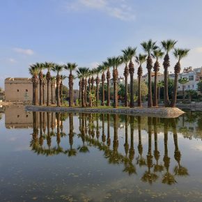 Reihe hoher Palmen am Ufer eines ruhigen Gewässers mit Spiegelung, wahrscheinlich im Menara-Garten von Marrakesch
